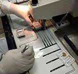 組織石蠟包埋