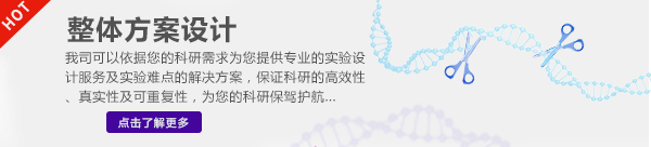 整體方案設計