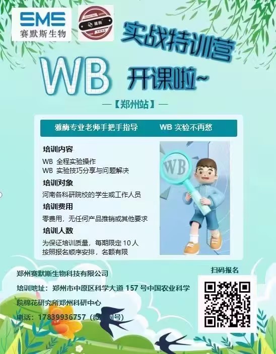 WB實戰(zhàn)特訓(xùn)營，開課啦~~